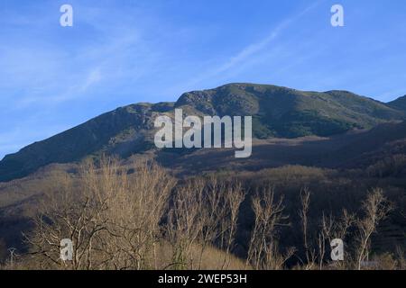 Paysage forestier avec des arbres sans feuilles en hiver avec montagne de granit et ciel bleu horizontalement Banque D'Images