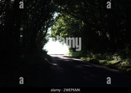 Lumière au bout d'une route de campagne entourée d'arbres en surplomb Banque D'Images