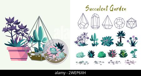 Ensemble de belles succulentes dans le style de bande dessinée. Illustration vectorielle de pots avec succulentes et cactus, aloe vera, pierres isolées sur fond blanc. Illustration de Vecteur