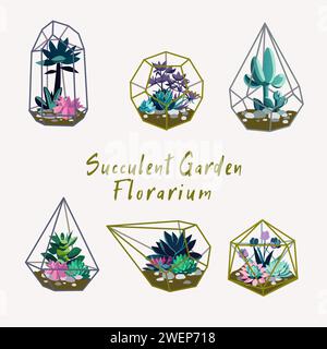 Ensemble de beaux florariums dans le style de bande dessinée. Illustration vectorielle d'un florarium en verre de diverses formes géométriques avec des succulentes et des cactus, aloès ver Illustration de Vecteur