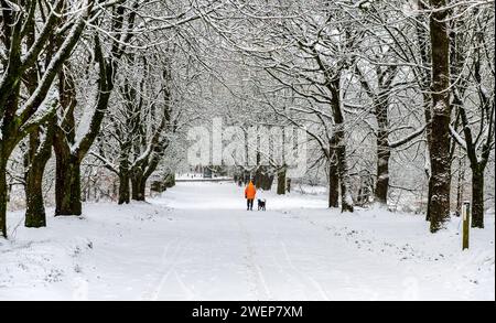 Chutes de neige abondantes à Rivington Village, près de Chorley Lancashire UK à travers les arbres promeneurs de chiens la plupart des conditions hivernales Banque D'Images
