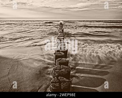 Image sépia de groynes en mer Baltique, longue exposition Banque D'Images