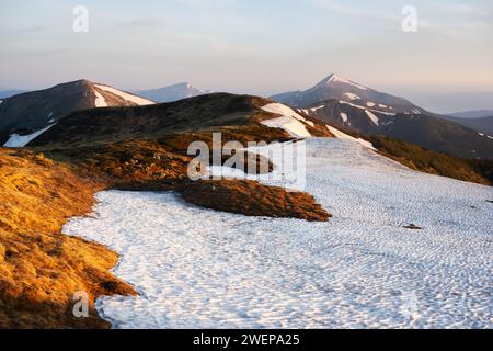 Vue sur les collines herbeuses avec des chaussettes orange et des montagnes enneigées en arrière-plan. Scène de printemps spectaculaire. Photographie de paysage Banque D'Images