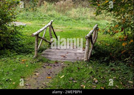 Passerelle au-dessus d'un ruisseau asséché avec une rampe faite de bâtons de bouleau recouverts d'écorce de bouleau dans la forêt d'automne. Banque D'Images