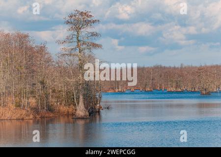 Lac pittoresque niché au milieu d'un feuillage luxuriant et d'un terrain rocheux sous un ciel nuageux Banque D'Images