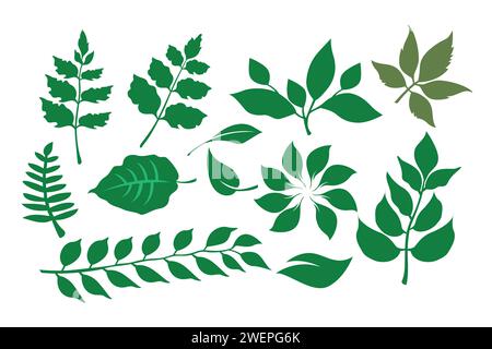 Ensemble de feuilles vertes isolées sur un fond blanc. Illustration vectorielle. Illustration de Vecteur
