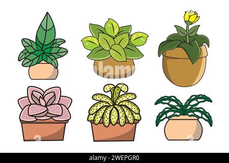 Plantes d'intérieur dans des pots isolés sur fond blanc. Illustration vectorielle. Illustration de Vecteur