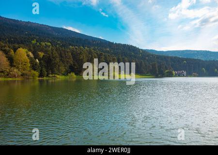 Bolu Golcuk nature Park vue avec lac et forêt. Visitez Turkiye concept photo. Banque D'Images