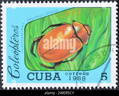 Timbre-poste annulé imprimé par Cuba, qui montre Scarabée (Heterosternus oberthuri), vers 1988. Banque D'Images