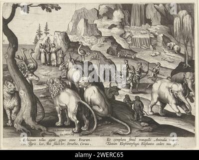 Chasse en Éthiopie, Jan Collaert (II), d'après Jan van der Straet, 1594 - 1598 impression au premier plan des animaux qui se produisent en Éthiopie : lions, tigres, autruches, licornes, etc Right est chassé pour deux éléphants. L'estampe a une légende latine et fait partie d'une série sur les scènes de chasse. gravure sur papier bêtes de proies, animaux prédateurs : tigre. marcheur et coureur : autruche. bêtes de proie, animaux prédateurs : lion. animaux à ressources partagées : éléphant. chasse  animaux à ressources partagées. 'Scopodes', 'Sciapodes', c'est-à-dire des êtres à une jambe Banque D'Images