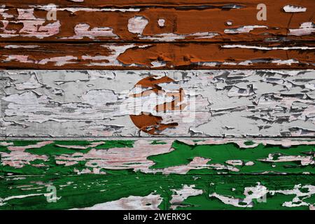 Drapeau du Niger peint sur une planche de bois grunge. Banque D'Images