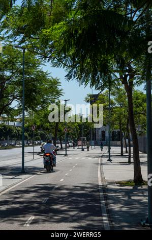 Une piste cyclable isolée passant entre des arbres de végétation verdoyante sur le grand trottoir côté nord du stade Maracana, à proximité de l'avenue Rei Pele. Banque D'Images