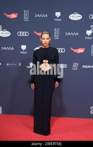 Madrid. Espagne. 20240126, Natalia Azahara participe aux Feroz Awards 2024 - tapis rouge au Palais Vistalegre le 26 janvier 2024 à Madrid, Espagne Credit : MPG/Alamy Live News Banque D'Images