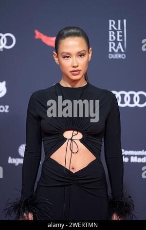 Madrid. Espagne. 20240126, Natalia Azahara participe aux Feroz Awards 2024 - tapis rouge au Palais Vistalegre le 26 janvier 2024 à Madrid, Espagne Credit : MPG/Alamy Live News Banque D'Images