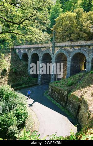 Figure masculine solitaire marchant sous un vieux viaduc de pierre dans les bois près du château de Stolzenfels sur le Rhin en Allemagne. Banque D'Images