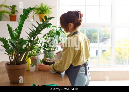 Jardinière féminine arrosant des plantes vertes dans la cuisine Banque D'Images