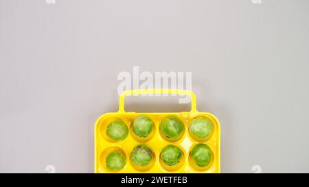 Pousses de Bruxelles bio crues dans un récipient jaune sur fond gris, vue de dessus. Pose à plat, au-dessus, par le haut. Espace de copie. Banque D'Images