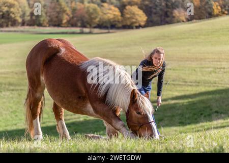 Une jeune femme adulte en formation de trick d'équitation avec son cheval de trait de sang froid noriker marron en automne à l'extérieur Banque D'Images