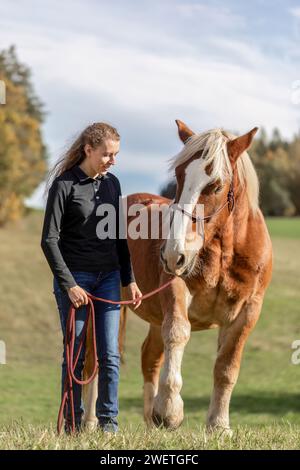 Une jeune femme adulte en formation de trick d'équitation avec son cheval de trait de sang froid noriker marron en automne à l'extérieur Banque D'Images