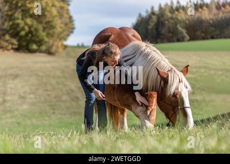 Une jeune femme adulte en formation de trick d'équitation avec son cheval de trait de sang froid noriker marron en automne à l'extérieur Banque D'Images