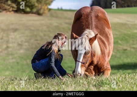 Une jeune femme adulte en formation de trick d'équitation avec son cheval de trait de sang froid noriker marron en automne à l'extérieur Banque D'Images