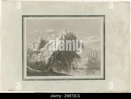 Woeping Willow, 1789 print Imprimer de l'album en cassette avec quatorze études en vernis mou et Aquatint de différents types d'arbres. arbres en papier : saule pleureur. brook Banque D'Images