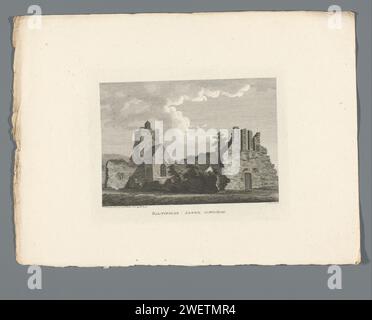 Vue des ruines de l'abbaye de Baltinglass, James Newton, 1793 estampe cette estampe fait partie d'un livre. gravure de papier vue sur la ville, et paysage avec des constructions artificielles. abbaye, monastère, couvent  église catholique romaine Wicklow Banque D'Images