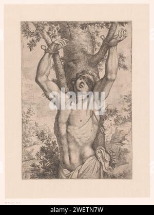 Saint Sebastiaan attaché à un arbre, 1611 - 1671 imprimer papier gravure St. Sébastien, attaché à un arbre ou à un pilier, est percé de flèches Banque D'Images