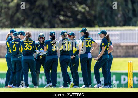 Canberra, Australie, 27 janvier 2024. Les joueuses australiennes célèbrent la chute d'un guichet lors du premier match de la série internationale T20 féminine entre l'Australie et les Antilles au Manuka Oval le 27 janvier 2024 à Canberra, Australie. Crédit : Santanu Banik/Speed Media/Alamy Live News Banque D'Images