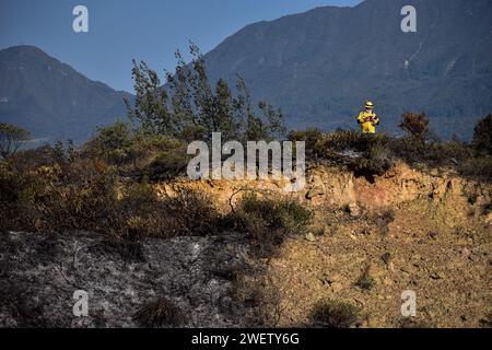 Bogota, Colombie. 25 janvier 2024. Les pompiers travaillent pour éteindre les incendies dans la partie sud de la ville lors de la quatrième journée de feux de forêt dans la ville de Bogota, en Colombie, le 25 janvier 2024. Photo : Cristian Bayona/long Visual Press crédit : long Visual Press/Alamy Live News Banque D'Images