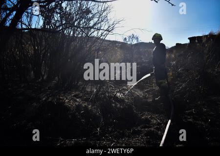 Bogota, Colombie. 25 janvier 2024. Les pompiers travaillent pour éteindre les incendies dans la partie sud de la ville lors de la quatrième journée de feux de forêt dans la ville de Bogota, en Colombie, le 25 janvier 2024. Photo : Cristian Bayona/long Visual Press crédit : long Visual Press/Alamy Live News Banque D'Images