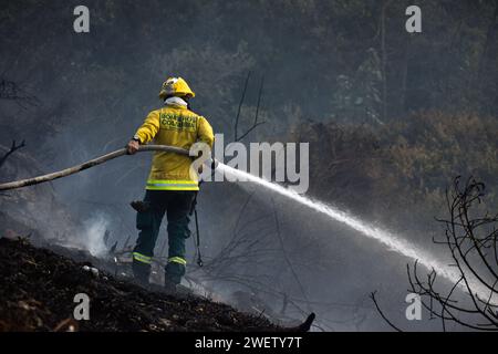 Bogota, Colombie. 25 janvier 2024. Les pompiers travaillent pour éteindre les incendies dans la partie sud de la ville lors de la quatrième journée de feux de forêt dans la ville de Bogota, en Colombie, le 25 janvier 2024. Photo : Cristian Bayona/long Visual Press crédit : long Visual Press/Alamy Live News Banque D'Images