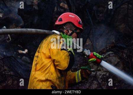 Bogota, Colombie. 25 janvier 2024. Les pompiers travaillent pour éteindre les incendies dans la partie sud de la ville lors de la quatrième journée de feux de forêt dans la ville de Bogota, en Colombie, le 25 janvier 2024. Photo : Cristian Bayona/long Visual Press crédit : long Visual Press/Alamy Live News Banque D'Images