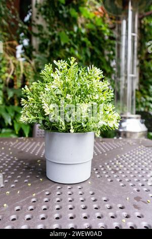 Une plante verte dans un pot de fleurs blanc se tient sur une table en métal Banque D'Images