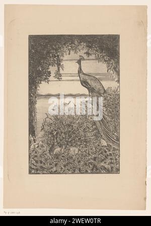 Paon assis et debout dans la nature, Willem Scherjon, c. 1888 - c. 1939 imprimer Un paon assis avec des plumes germées et un paon debout sous un arc de végétation. Le paon debout surplombe l'eau. oiseaux ornementaux en papier : paon. plantation. cours d'eau Banque D'Images