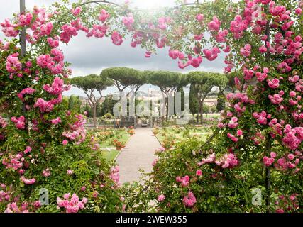 Un coeur de roses dans le Roseto Comunale, jardin municipal de roses, Aventino, Rome, Italie Banque D'Images