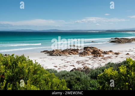 Larapuna ou la baie des feux et le parc national du mont William, Tasmanie, Australie Banque D'Images