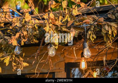 lampes en feuilles dans un petit magasin 1 Banque D'Images