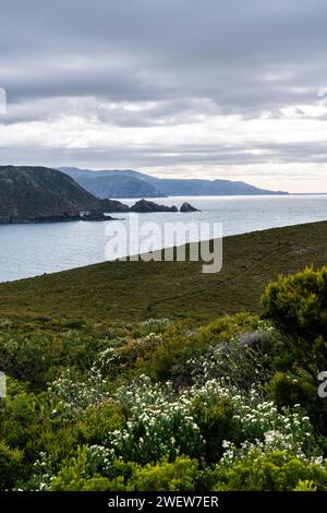 South Bruny Island, vue depuis le phare de Cape Bruny, Tasmanie, Australie Banque D'Images