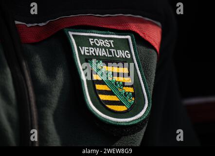 Dresde, Allemagne. 25 janvier 2024. Le logo de l'Administration forestière de Saxe peut être vu sur la veste d'un employé debout dans la forêt à l'occasion de la 25e vente aux enchères de scierie et de bois 2024. Les grumes de valeur provenant de forêts gérées de manière durable en Saxe sont vendues aux enchères lors de la vente aux enchères de bois. Crédit : Robert Michael/dpa/Alamy Live News Banque D'Images