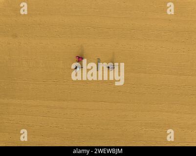 Vue aérienne de millions de grains de riz sont disposés à sécher dans un moulin alors que les travailleurs les brossent avec des feuilles sous le soleil chaud, Dhamrai, Dhaka, Bangladesh. Banque D'Images