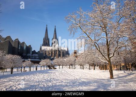 Vue du Rhinegarten à la cathédrale et le Musée Ludwig, neige, hiver, Cologne, Allemagne. Blick vom Rheingarten zum Dom und zum Museum Ludwig, Banque D'Images