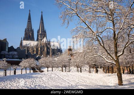 Vue du Rhinegarten à la cathédrale et le Musée Ludwig, neige, hiver, Cologne, Allemagne. Blick vom Rheingarten zum Dom und zum Museum Ludwig, Banque D'Images