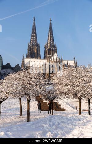 Vue du Rhinegarten à la cathédrale et le Musée Ludwig, neige, hiver, Cologne, Allemagne. Blick vom Rheingarten zum Dom und zum Museum Ludwig, Banque D'Images