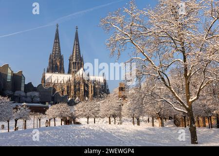 Vue du Rhinegarten à la cathédrale et le Musée Ludwig, neige, hiver, Cologne, Allemagne. Blick vom Rheingarten zum Dom und zum Museum Ludwig, Banque D'Images