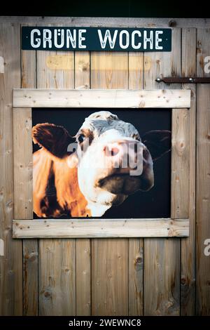 Gruene Woche Berlin DEU, Deutschland, Germany, Berlin, 23.01.2024 Foto einer Kuh vor logo Grüne Woche zum Thema oekologische Landwirtschaft in der Biohalle vom Forum moderne Landwirtschaft auf der Messe der Internationalen Gruenen Woche unter dem Motto Moege die Vielfalt mit Euch sein in Berlin Deutschland . Die internationale Gruene Woche Berlin ist eine internationale Verbrauchermesse und Ausstellung der Ernaehrungswirtschaft, landwirtschaft, Gartenbau und fuer landwirtschaftliche Produkte aus aller Welt. Grüne Woche en : photo d'une vache devant le logo de la semaine verte sur le thème du bio Banque D'Images