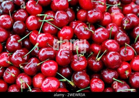 Cerises, vente de fruits Farmers Market, Crocker Galleria, Financial District, San Francisco, Californie, États-Unis d'Amérique, USA Banque D'Images