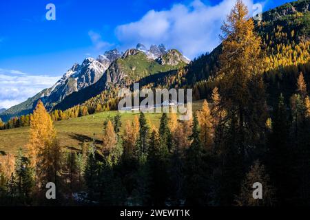 La formation rocheuse Monte Cristallo, entourée de mélèzes jaunes et de pins verts en automne, vue depuis le col Passo Tre Croci. Banque D'Images