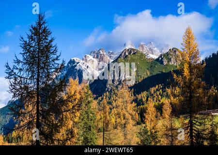 La formation rocheuse Monte Cristallo, entourée de mélèzes jaunes et de pins verts en automne, vue depuis le col Passo Tre Croci. Banque D'Images