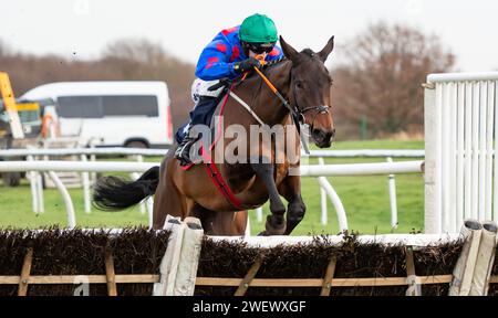 Doncaster Racecourse, Royaume-Uni, samedi 27 janvier 2024 ; Wodhooh et le jockey Mark Walsh remportent le SBK Filliess' Juvenile Hurdle (listé) pour l'entraîneur Gordon Elliott et les propriétaires du Sundowners Partnership. Crédit JTW Equine Images / Alamy Live News Banque D'Images